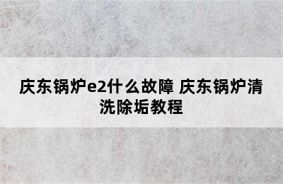 庆东锅炉e2什么故障 庆东锅炉清洗除垢教程